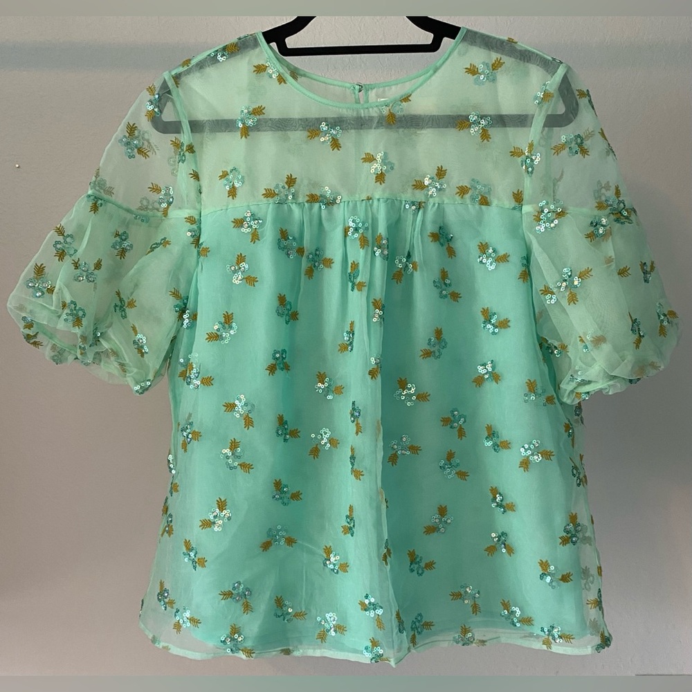 Anthropologie Aqua Floral Sheer Blouse